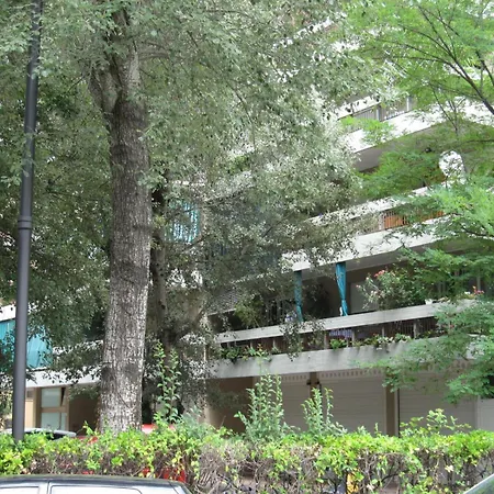 Orsa Maggiore